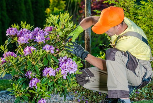 Gardening Putney crew preparing tools at a residential garden site
